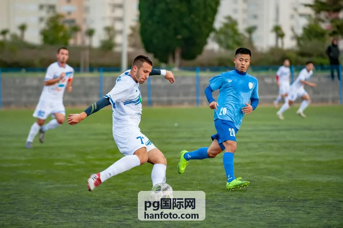 pg国际网出海品牌观察的样本整理与信息核对流程