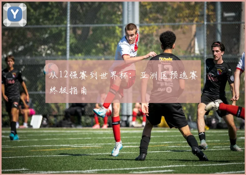 从12强赛到世界杯：亚洲区预选赛终极指南