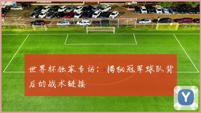 世界杯独家专访:揭秘冠军球队背后的战术链接