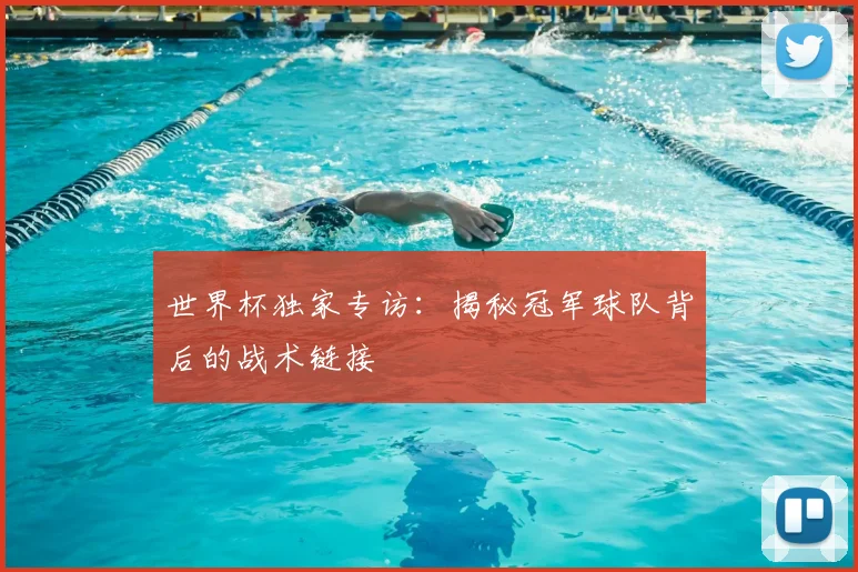 世界杯独家专访:揭秘冠军球队背后的战术链接