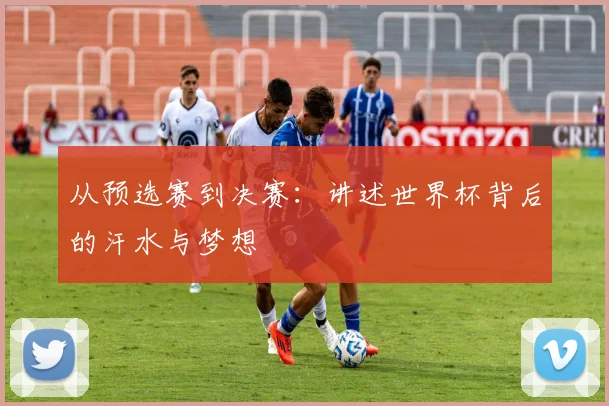 从预选赛到决赛:讲述世界杯背后的汗水与梦想