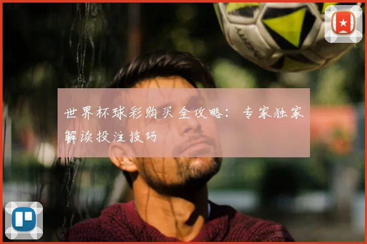 世界杯球彩购买全攻略:专家独家解读投注技巧