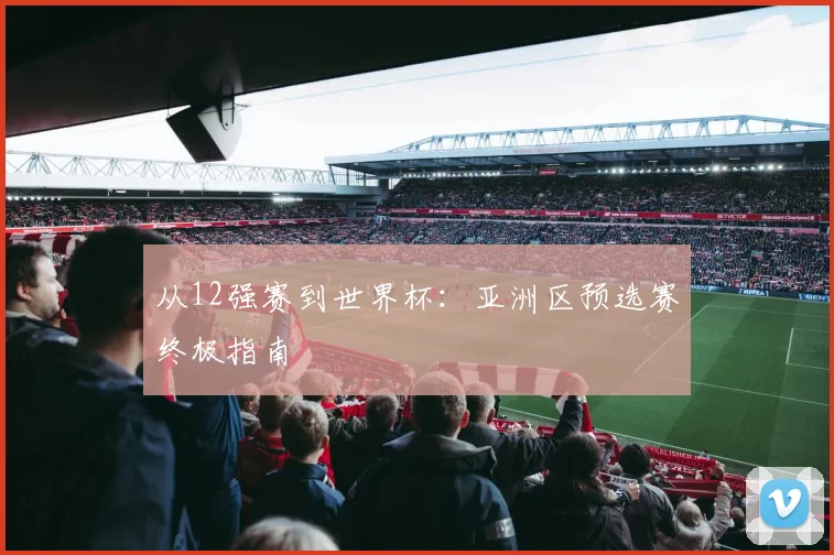 从12强赛到世界杯：亚洲区预选赛终极指南