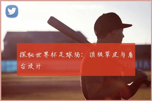 探秘世界杯足球场：顶级草皮与看台设计