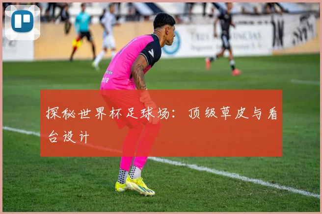 探秘世界杯足球场：顶级草皮与看台设计