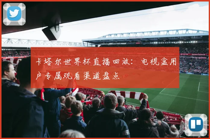 卡塔尔世界杯直播回放：电视盒用户专属观看渠道盘点