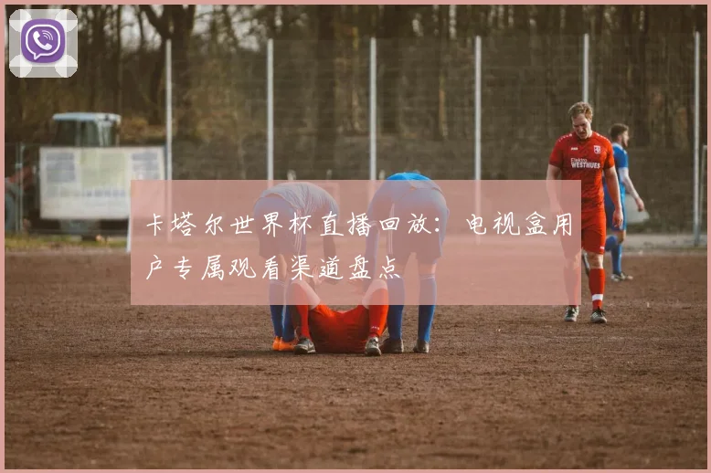 卡塔尔世界杯直播回放：电视盒用户专属观看渠道盘点